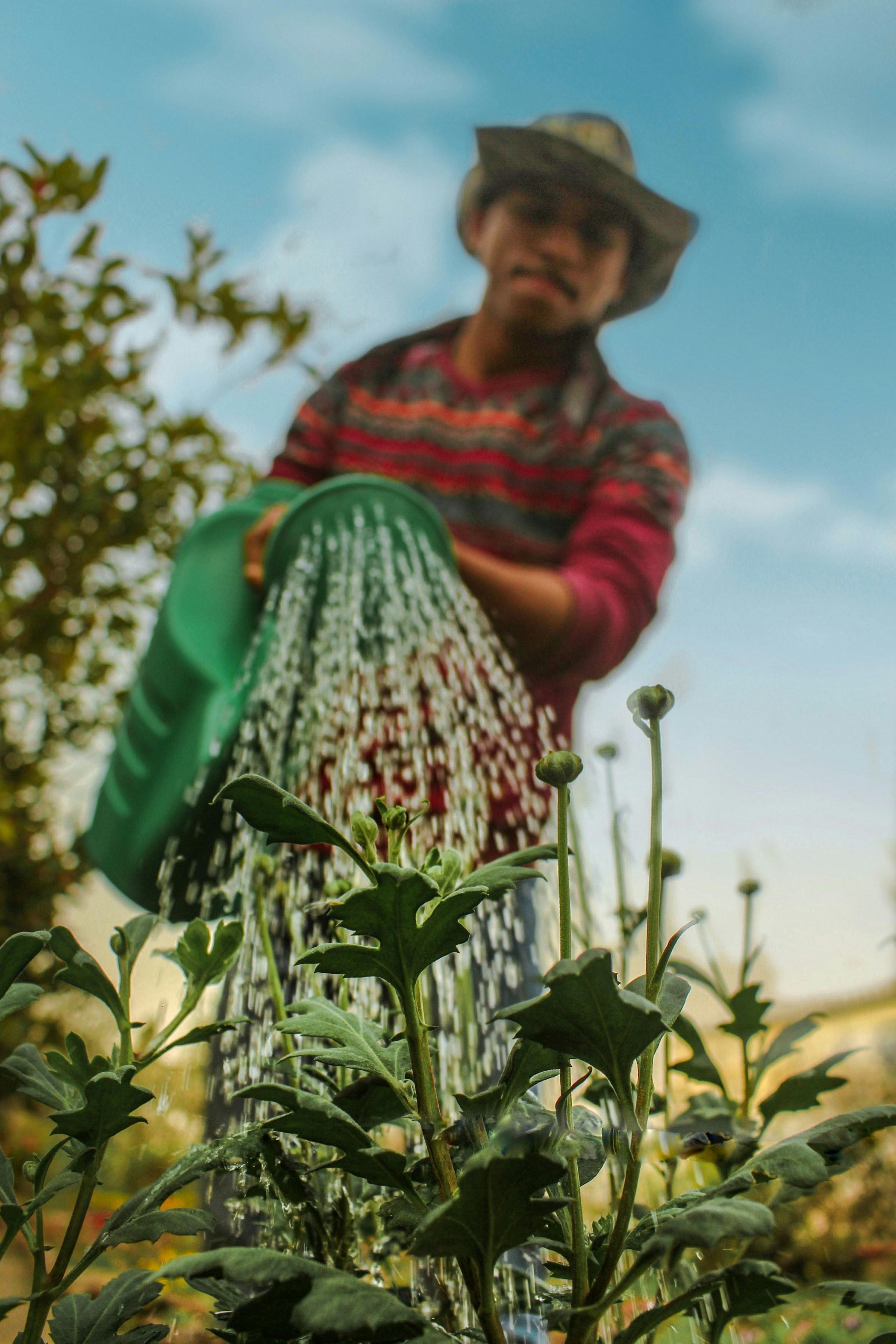 Ein Mann bei der Gartenarbeit